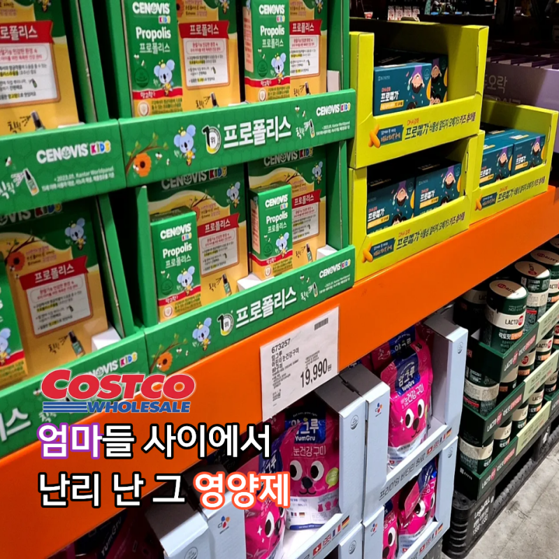 엄마 커뮤니티에서 인기 폭발! 코스트코 어린이 영양제 베스트 3 선정