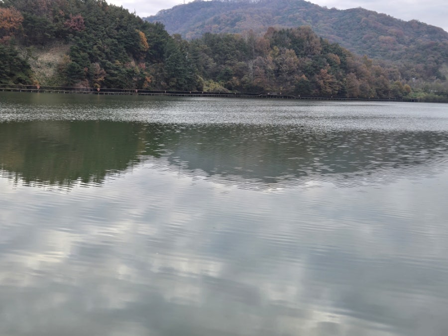 자연애 산삼백숙농원 사진 1
