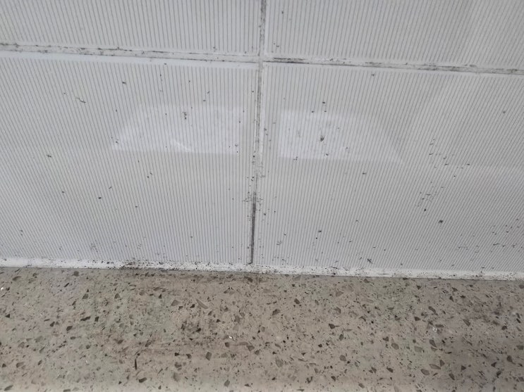  연산동입주청소, 깨끗해진 공간만큼 가벼워진 마음