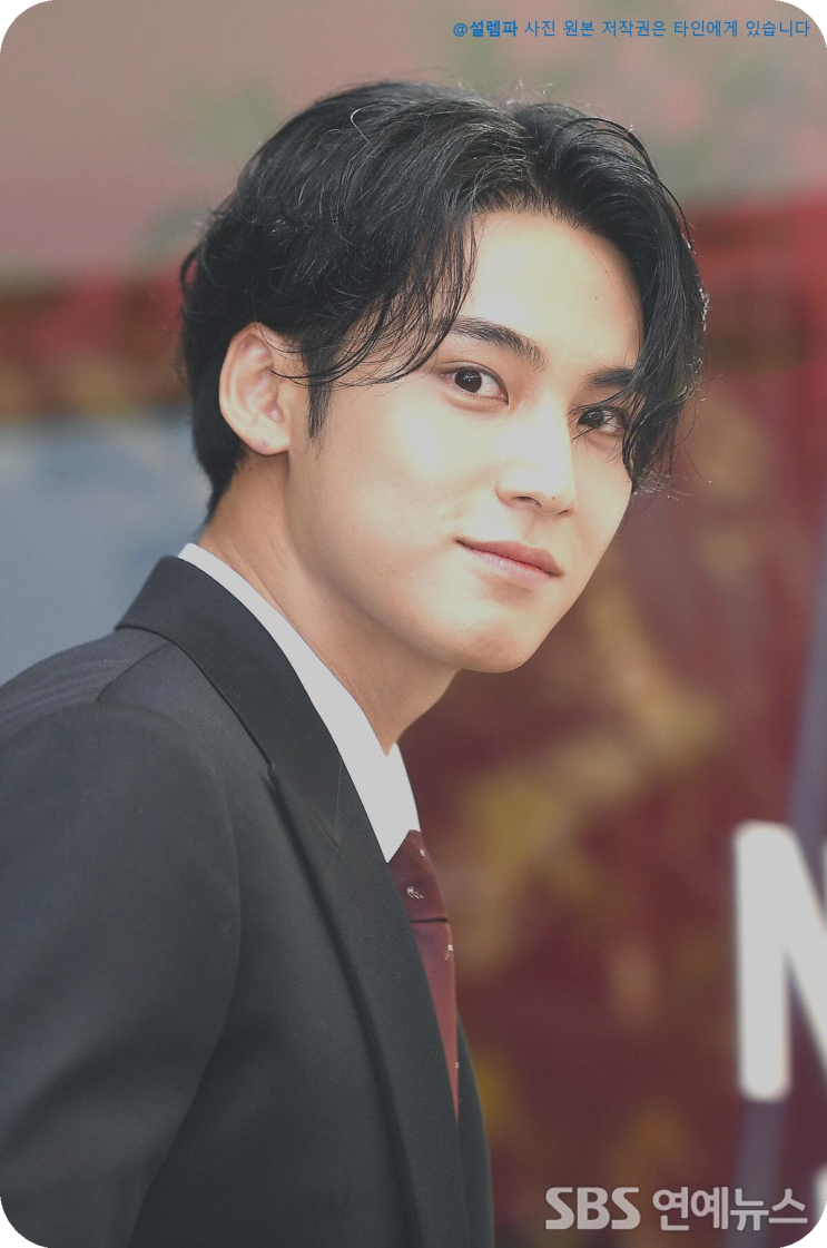  세븐틴 민규 키 187cm 실화? 프로필 나이 TMI 총정리