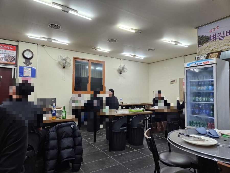 참돼지 사진 5