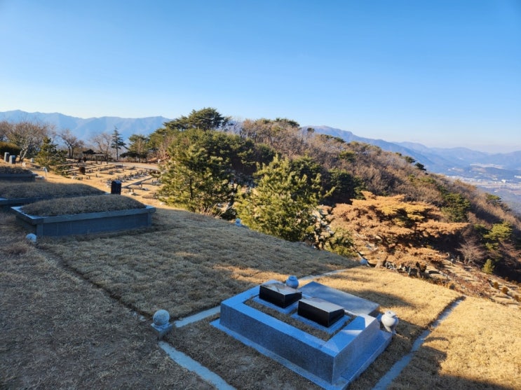  삼덕공원묘지 삼덕공원묘원 울산평장묘 울산자연장 만족한 선택