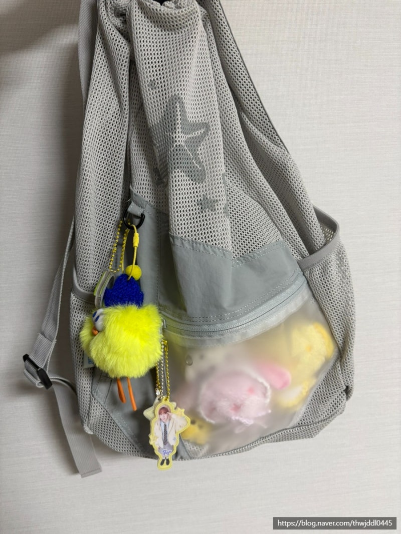 산산기어 x 엔시티위시 콜라보 백팩 가방 후기