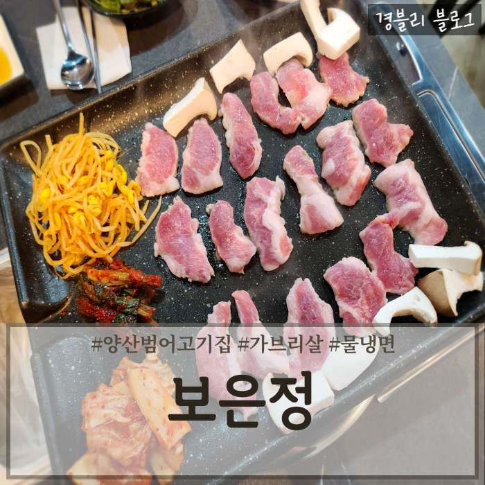  양산범어맛집 양산가브리살맛집 양산고기집 '보은정'