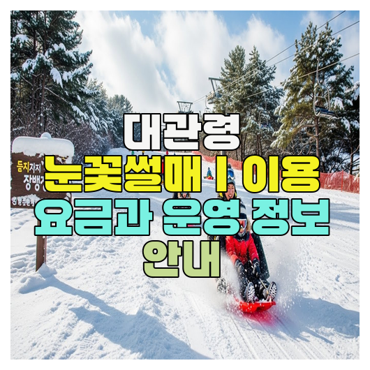  대관령 눈꽃썰매｜이용 요금과 운영 정보 안내