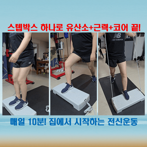  유산소부터 근력까지 한 번에! 엑사이더 스텝박스
