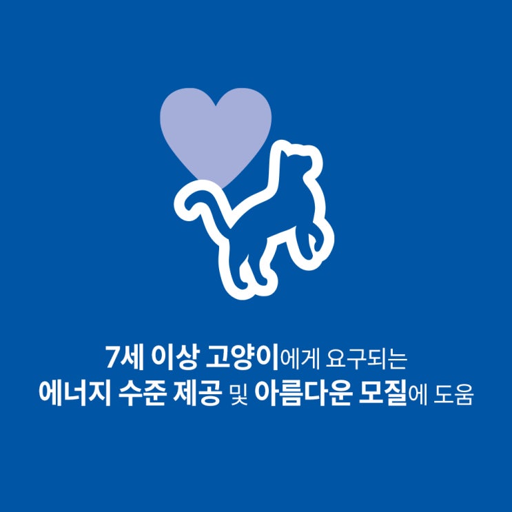  힐스 고양이사료 어덜트 7+ 인도어 1.6kg 후기 - 효과 분석