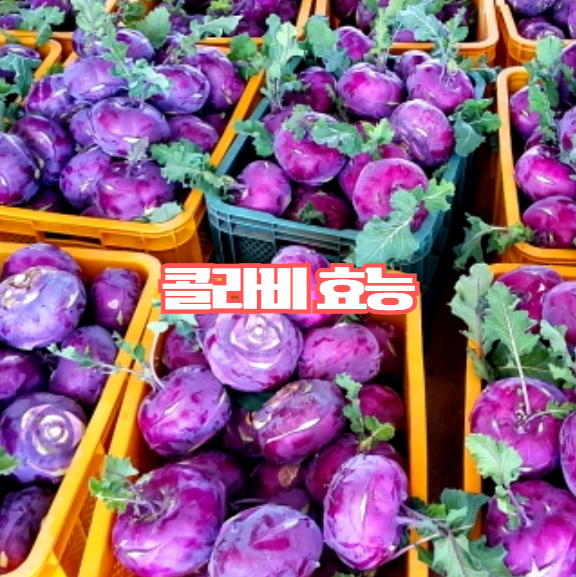  콜라비 효능, 알고 먹으면 달라지는 식재료