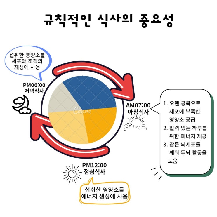  규칙적인 식사와 장 건강 생각보다 더 깊은 관계
