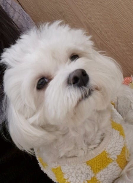 사진 6