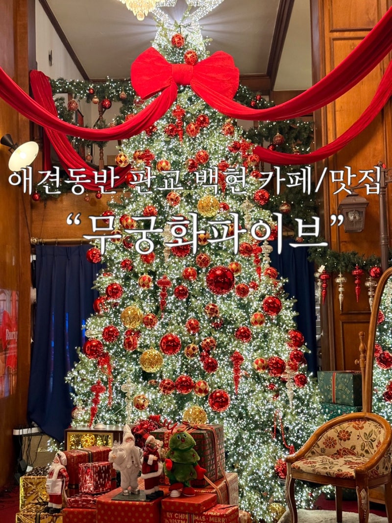 무궁화 파이브