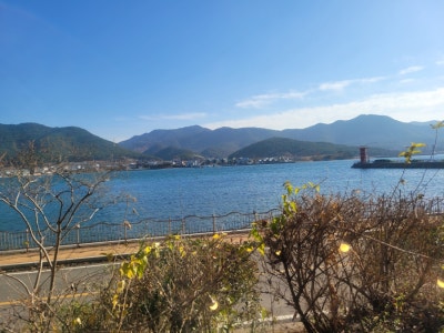 사진 6