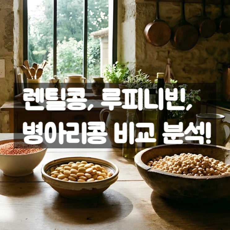  렌틸콩 vs 루피니빈 vs 병아리콩 다이어트 혈당 조절에 뭐가 더 좋을까?