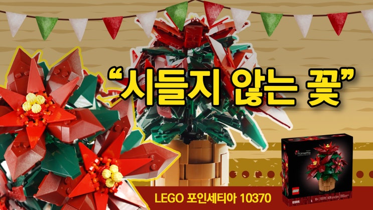  겨울 분위기 물씬! 레고 보태니컬 10370 포인세티아 제품 정보 및 조립후기