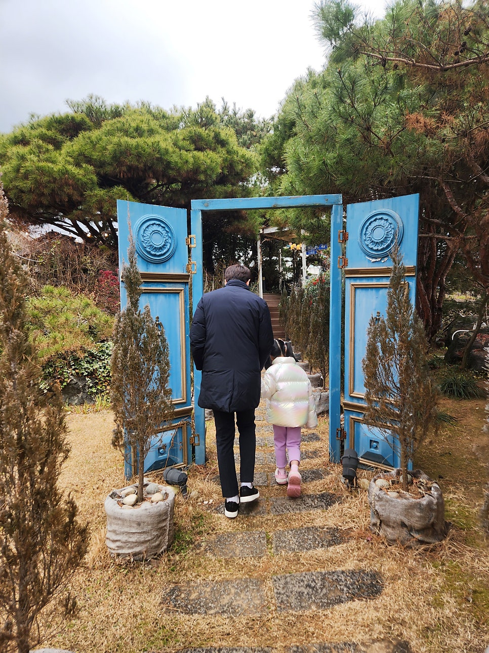 카페리보키 사진 6