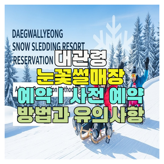  대관령 눈꽃썰매장 예약｜사전 예약 방법과 유의사항