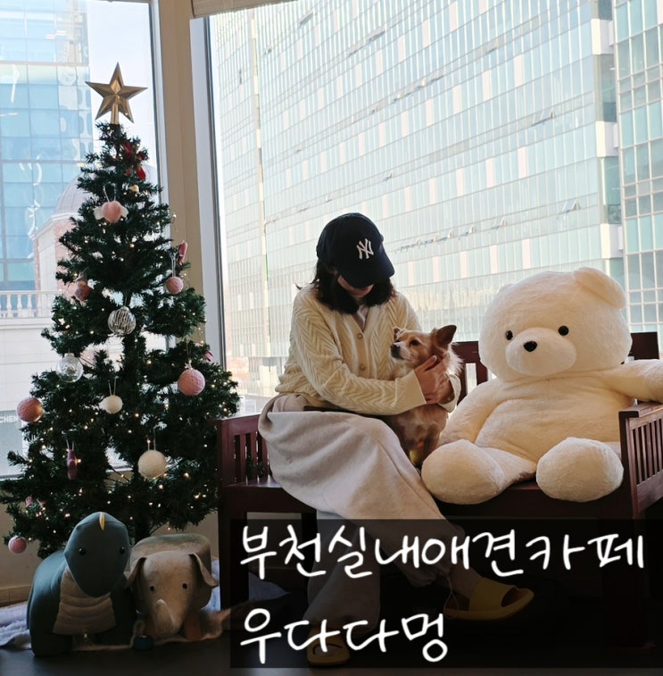  부천실내애견카페 우다다멍 식사까지 가능한 반려견카페