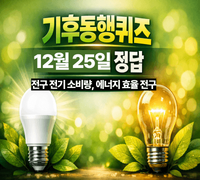  기후동행퀴즈 12월 25일 정답 공개: 전구 전기 소비량, 에너지 효율 높은 전구