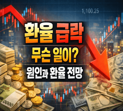  환율 급락, 무슨 일이? 원인과 환율 전망