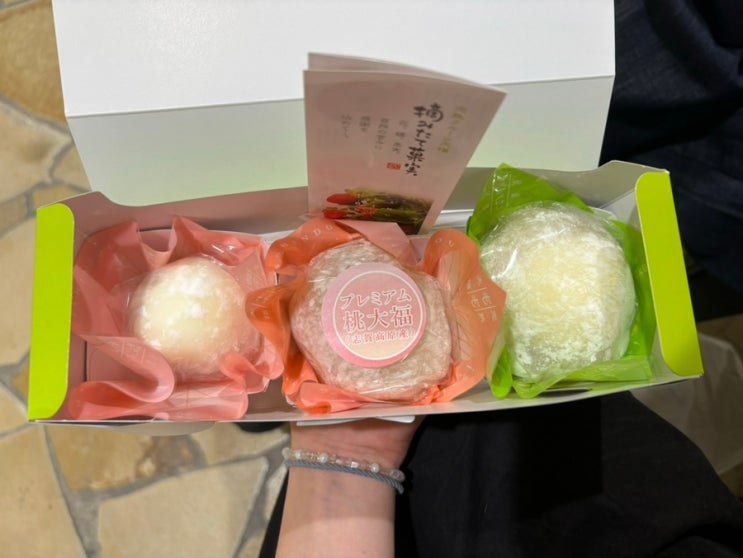  오사카 과일모찌 [잇신도 한큐 우메다점] 딸기, 복숭아, 메론 / 찾아가는 법, 가격, 종류, 메뉴판