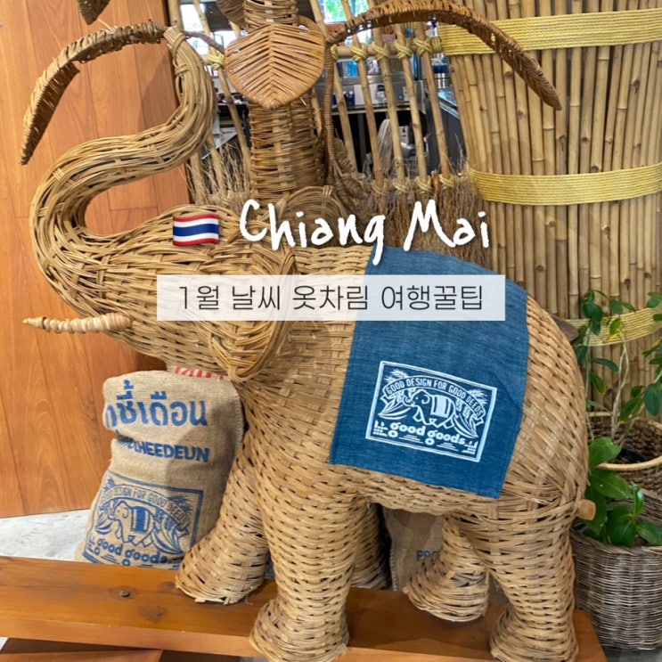  치앙마이 1월 날씨 옷차림 수영 가능? 태국 건기 겨울여행 꿀팁