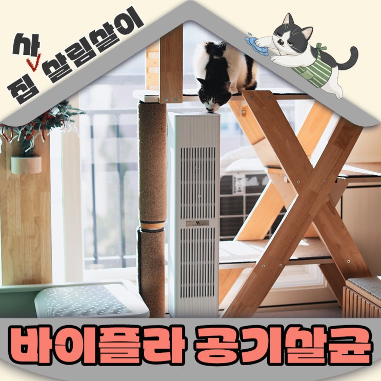  바이플라 공기살균기로 고양이집 건강까지 관리해요