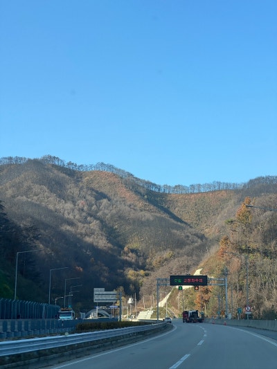 사진 9