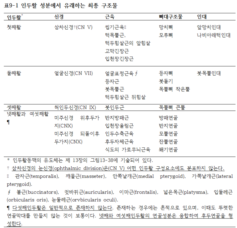 인후두이물감(매핵기, 인후두이상감각, 인후두위산역류증, 역류성인후두염)