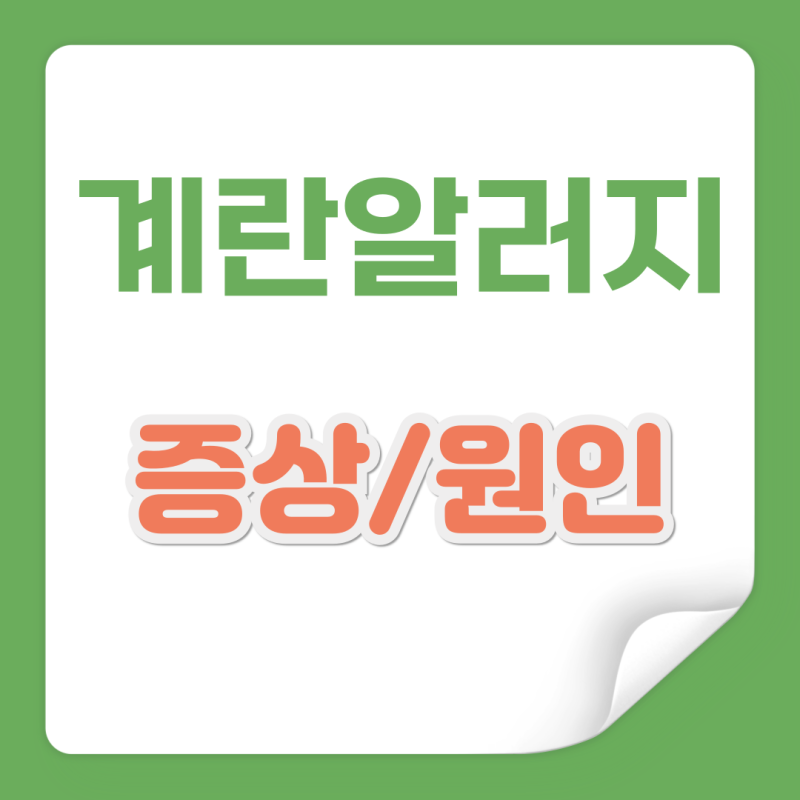 계란알레르기 증상 및 원인 주의사항 정리