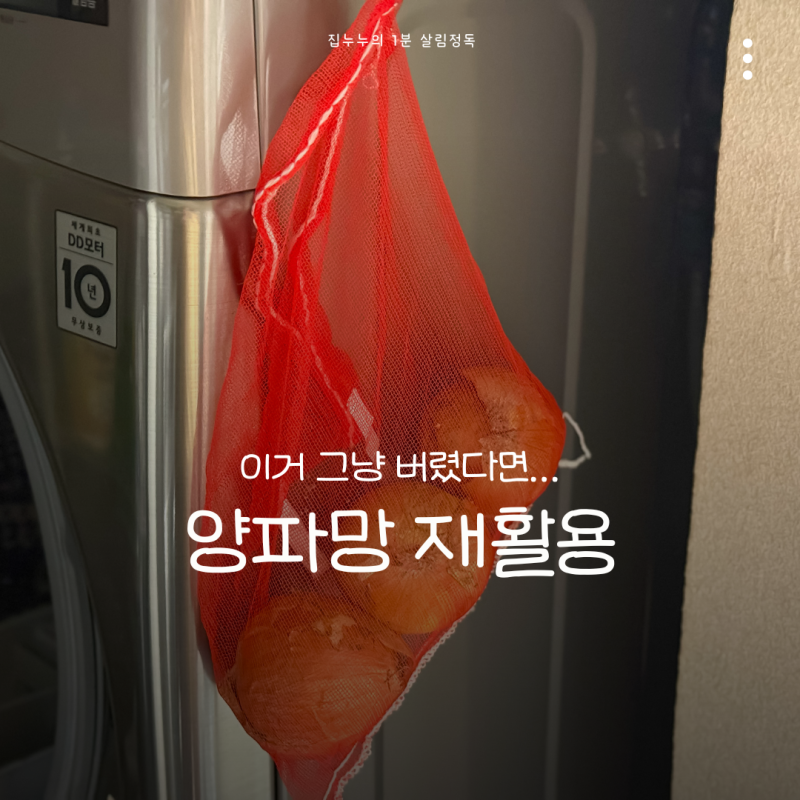 양파망 재활용 방법 4가지, 올바른 분리수거 방법은?