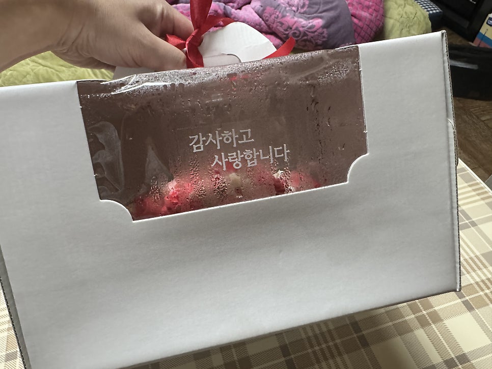 말랑설기 사진 3