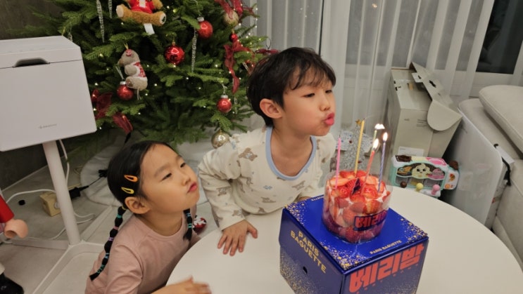  성심당 딸기시루 말차시루 대항마 파리바게뜨 베리밤 솔직 비교 (가격 구성 맛)