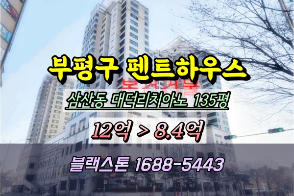  부평펜트하우스 경매 삼산동 대덕리치아노 135평