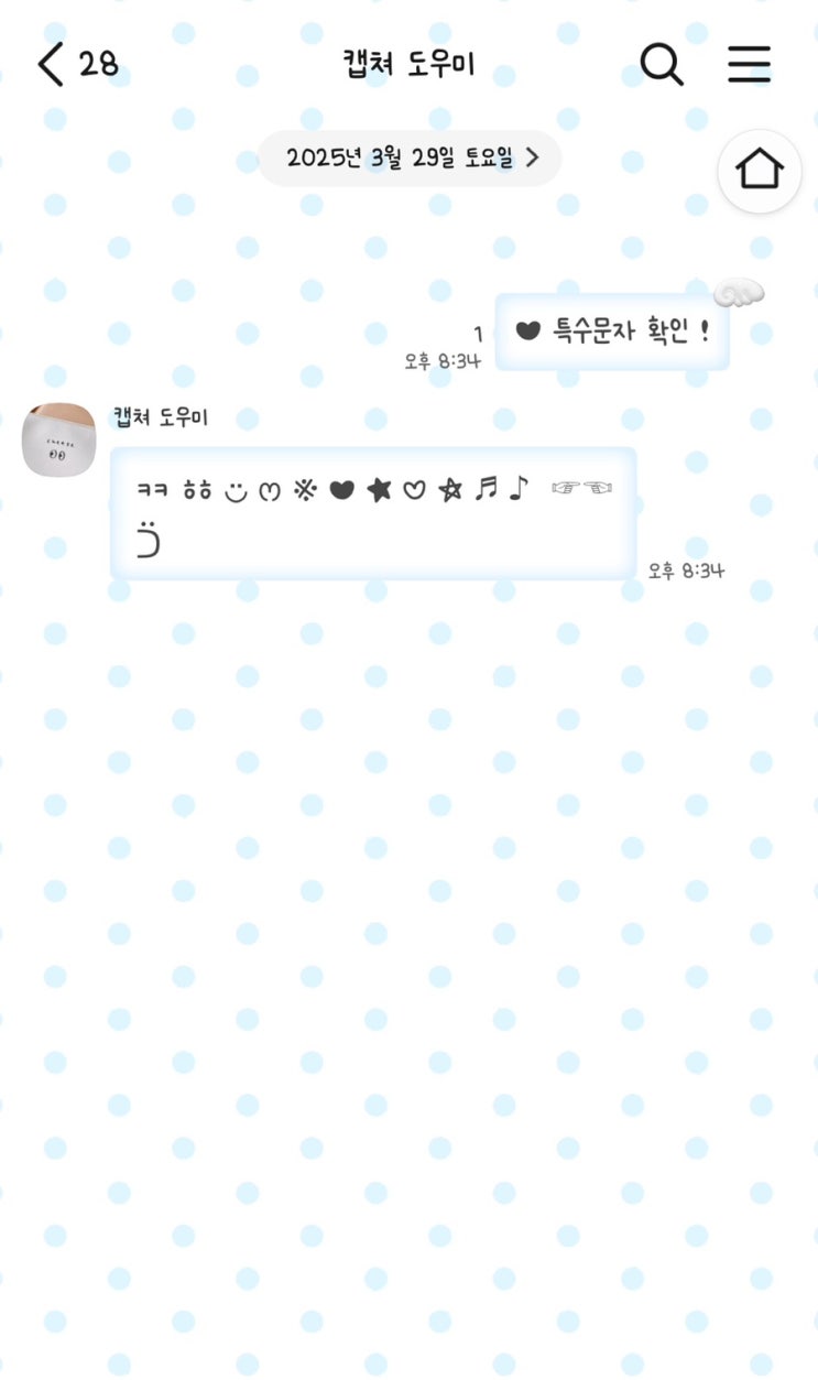  카카오톡 테마 추천 18탄 [나의 아이폰 카톡 테마 일지]