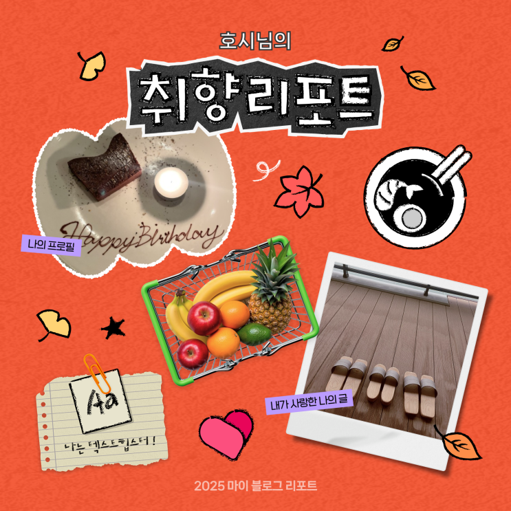  [2025 마이 블로그 리포트] 데이터로 채워보는 내 블로그 취향 리포트