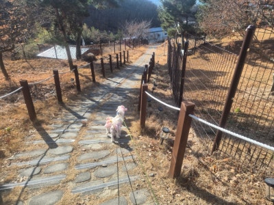 사진 5