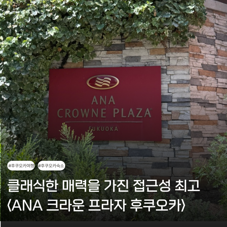  후쿠오카 숙소 추천 | 가성비와 접근성 최고의 호텔 <ANA 크라운 플라자 후쿠오카 싱글킹>