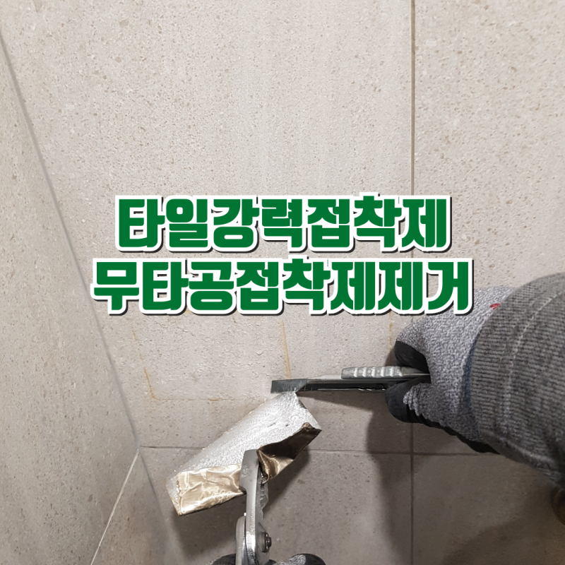 타일 강력접착제 무타공접착제 제거