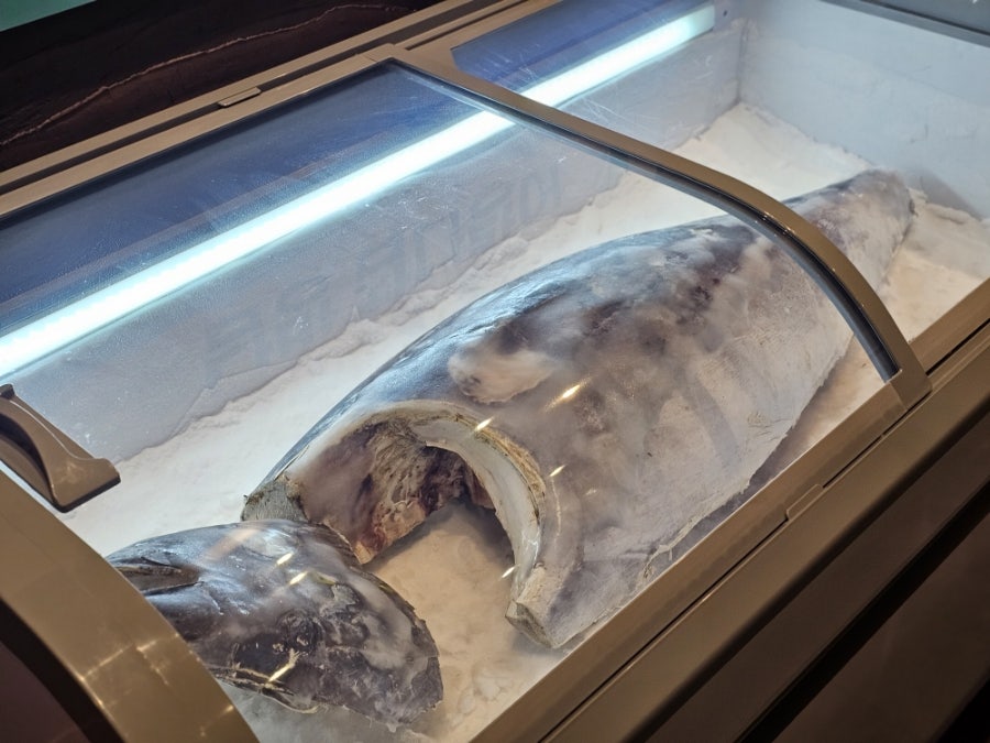 금빛참치 본점 사진 2
