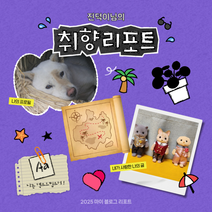  [2025 마이 블로그 리포트] 데이터로 채워보는 내 블로그 취향 리포트