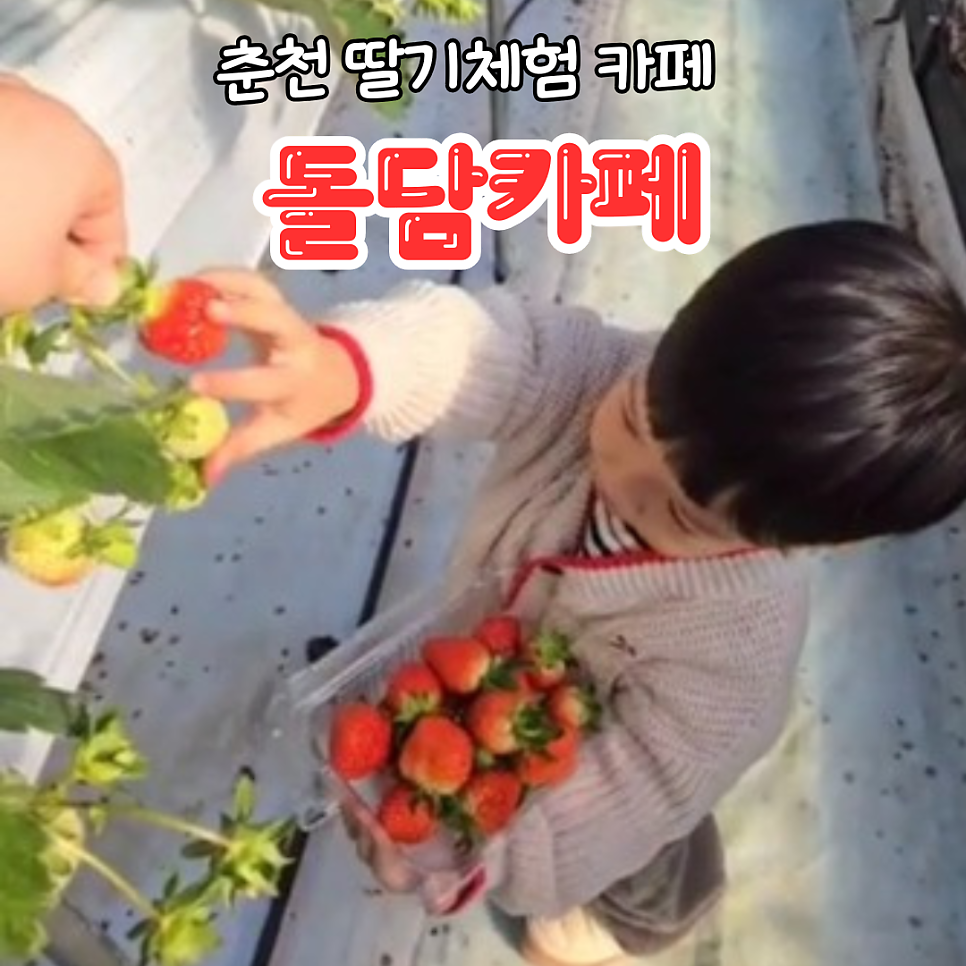 그린하우스 사진 1