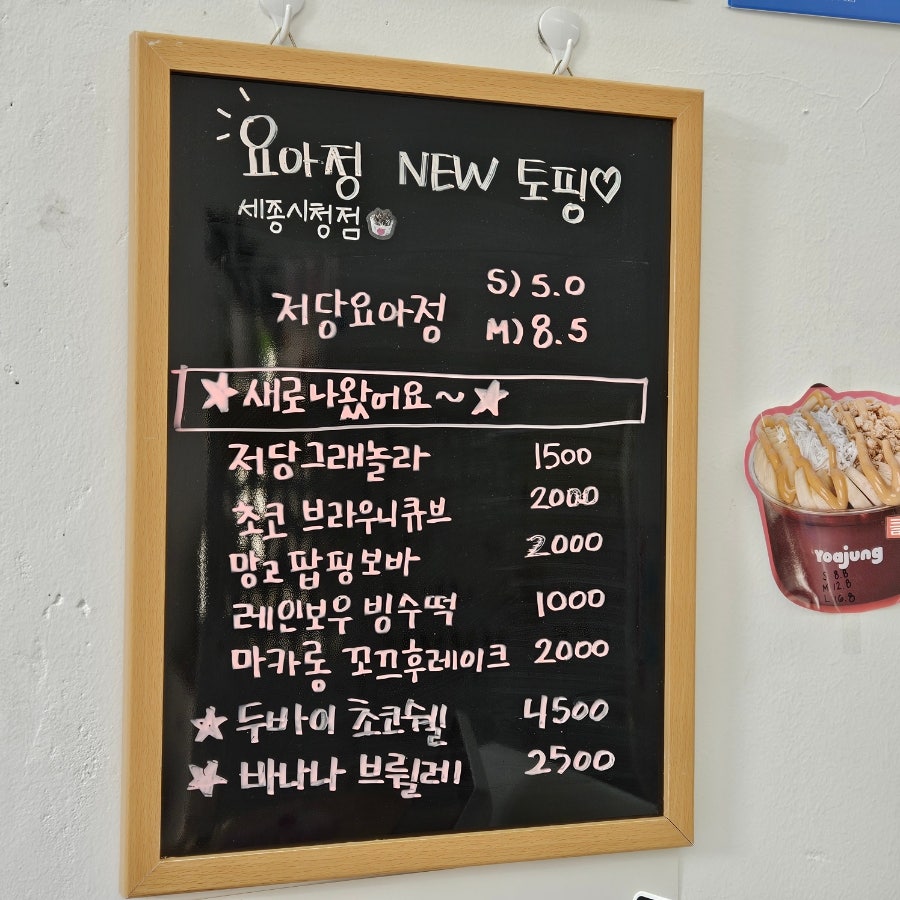 요거트아이스크림의정석 세종해밀점 사진 6