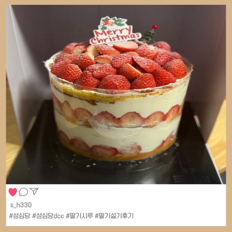 성심당 딸기시루 대신 딸기설기 케이크 후기