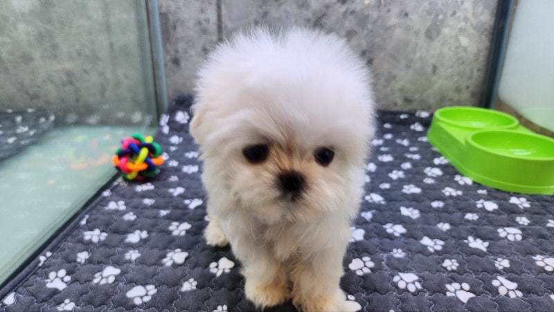 사진 5