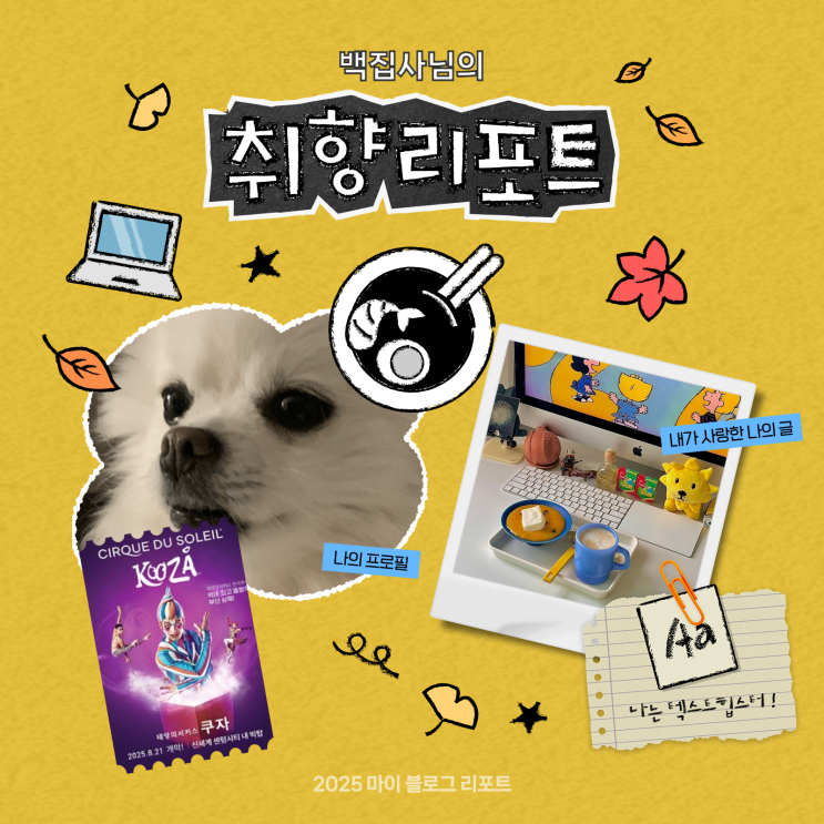  [2025 마이 블로그 리포트] 데이터로 채워보는 내 블로그 취향 리포트