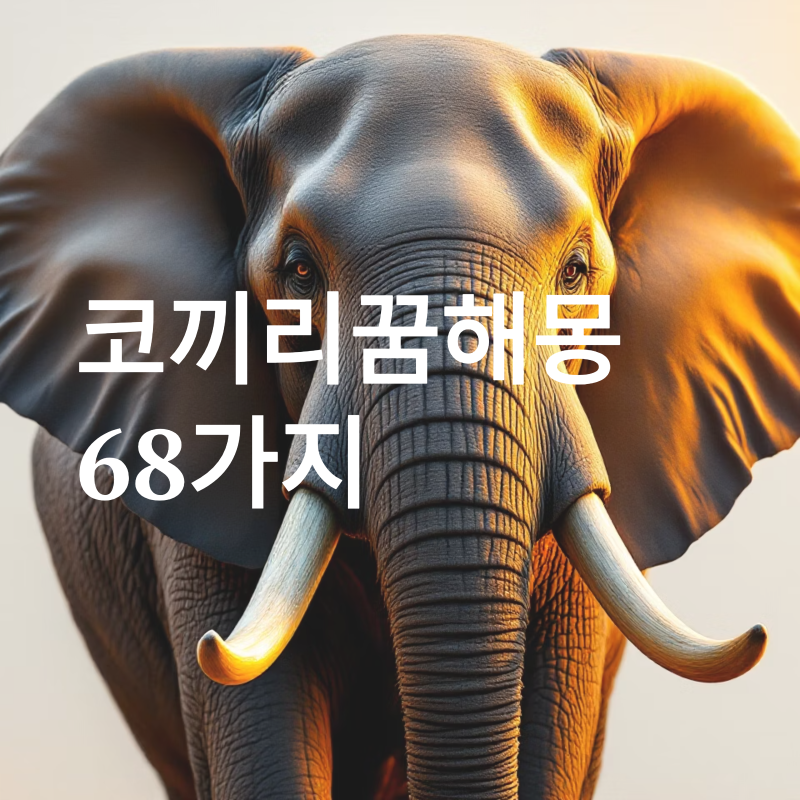 코끼리 꿈, 아기코끼리꿈, 흰코끼리꿈, 코끼리꿈해몽 68가지