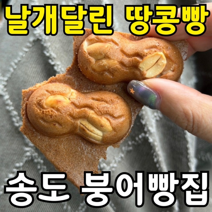  인천 송도 땅콩빵 맛집 서울붕어빵 내돈내산 후기｜팝업이라 더 귀한 집