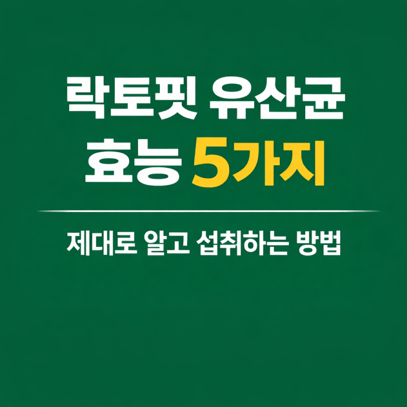 락토핏 유산균 효능 5가지, 제대로 알고 섭취하는 방법
