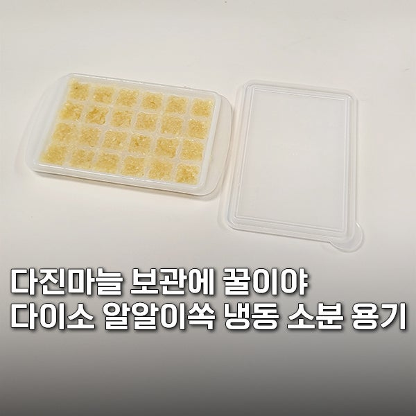 다이소 알알이쏙 냉동 소분 용기 다진마늘 보관에 너무 좋아