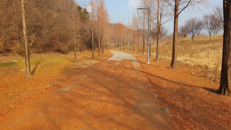  겨울 강원도 여행 코스 추천 (눈과 바다, 그리고 낭만을 따라)